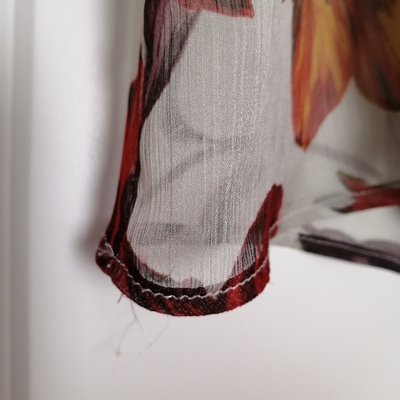 Zara Sheer Ruffled Floral Blouse - Picture 6 of 6